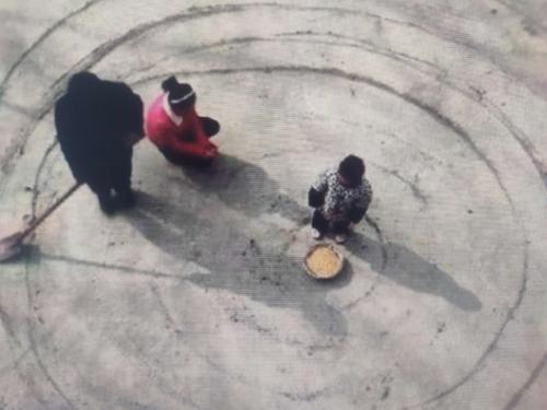 摆闸,三辊闸,速通闸,旋转闸,平移闸,一字闸,人脸识别，