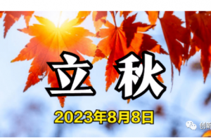 立秋节气安康！